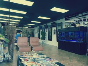 Casablanca Barbershop Interior Fishtank