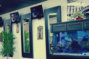 Casablanca Barbershop Fish Tank